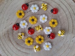 bloemen insecten b