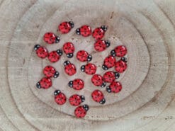 lieveheersbeestjes rood a