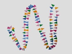 Met deze vlaggetjes voor de Sint maak er er echt een groot feest van.