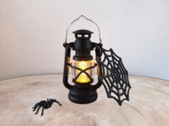 Deze mooie lantaarn schijnt zijn lichtje voor jou!